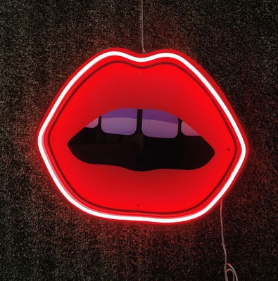 Wall Decor Art Handmade Neon Sign USB Powered Printing Women Red Lips Neon Sign